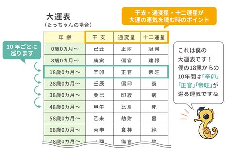 大運|四柱推命【大運】とは？見方・過ごし方を解説｜10年の運気を占 